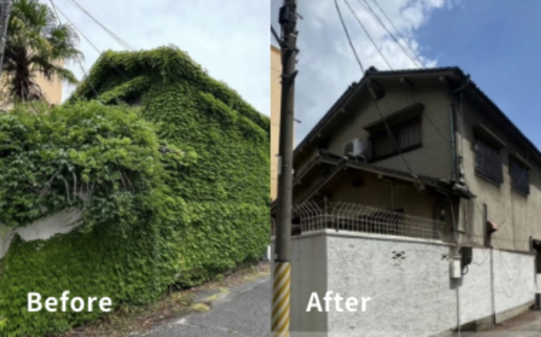 外壁ツタ撤去・庭植栽撤去